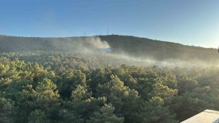 Ataşehir Kayışdağı ormanında yangın