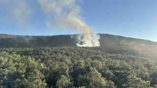 Ataşehirde orman yangını, büyümeden söndürüldü