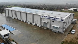 ATBden kuru İncir üreticisine çifte destek