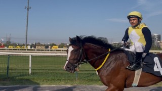 Attan düşen jokeyin yerine yarıştı birinci oldu