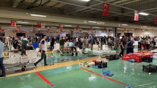 Av yasağının bitmesiyle İstanbulda balıkçılık sezonu resmen başladı