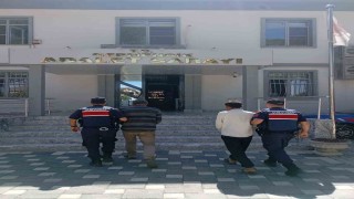 Aydında 63 kilo kuru incir çalarken suçüstü yakalandılar