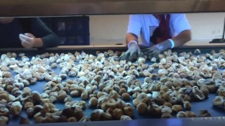 Aydında incir depoları denetlendi