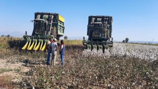 Aydında pamuk toplama fiyatı belirlendi