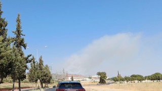 Aydında zirai alan yangını