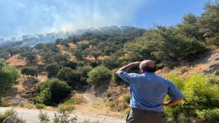 Aydında zirai alan yangını: 30 dönüm alan zarar gördü