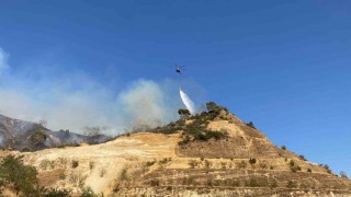 Aydındaki yangını söndürme çalışmaları sürüyor