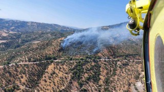 Aydındaki zirai alan yangınına havadan ve karadan müdahale sürüyor
