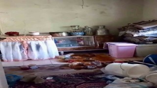 Ayılar yerleşim alanlarına indi, yöre halkı endişeli