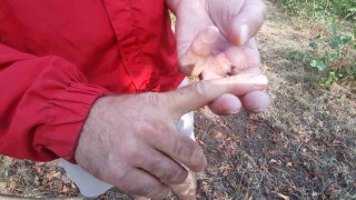 Ayının saldırısına uğrayan çiftçi dehşet anlarını anlattı: Parmağımı kopardı