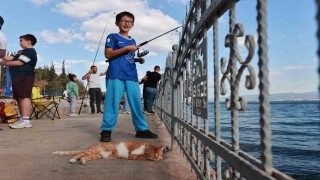 Babalar ve çocuklar oltalarını Eskihisarda denize attı