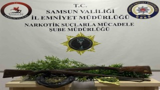 Bafrada 33 kök Hint keneviri ele geçirildi