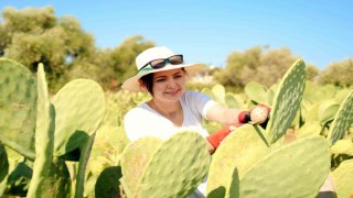 Bahçeyi kurarken alay konusu oldular, şimdi 10 ton ürünün tamamını yurt dışına veriyorlar