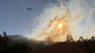 Bakan Yumaklı: Köyceğiz yangını kontrol altına alındı