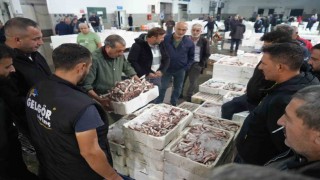 Balık mezadında hareketlilik: Kasalar dolusu balıklar kapışıldı