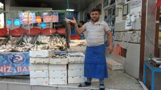 Balık sezonu açıldı, halk et ve tavuktan balığa yöneldi