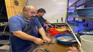 Balık sezonu bereketli başladı