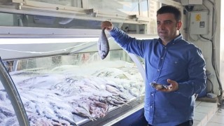 Balıkçılar Vira bismillah dedi