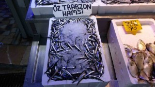 Balıkçılarda erken gelen hamsinin Türk karasularını erken terk edeceği endişesi