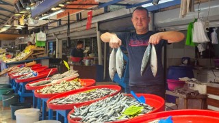 Balıkta bolluk beklentisi soğuklara kaldı