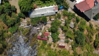 Bartın yangınında soğutma çalışmaları tamamlandı