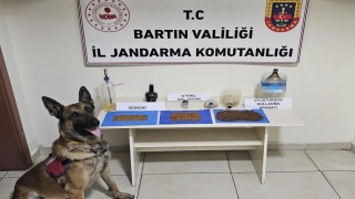 Bartında uyuşturucu operasyonu: 1 gözaltı