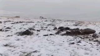 Başkalede mevsimin ilk karı yağdı