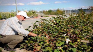 Başkan Çolakbayrakdar: Türkiyenin en kapsamlı fidanlığıyla Kayserinin yeşil dokusu zenginleşiyor