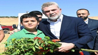 Başkan Görgel; Coğrafi işaretli Maraş biberimizin üretimi 30 bin tona ulaştı