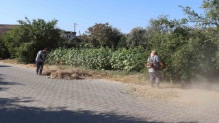 Başkan Tetik: 82 mahallede temizlik çalışmaları sürecek