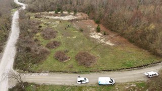 Başkan Yardımcısı Yıldız: Bu hayvanlar, can dostlarımız