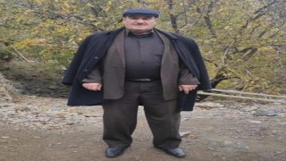 Batmanda ağaçtan düşen eski muhtar hayatını kaybetti