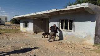 Batmanda okul çevrelerinde narko alan uygulaması