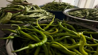 Bayburtlu kadınlar kışlık turşu hazırlıklarına başladı