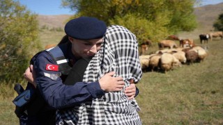 Bayburtta kaybolan 13 koyun jandarma ekiplerince dağda bulundu