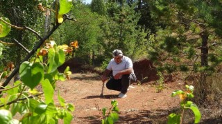 Bayburtta kehribarın zorlu mesaisi: Topraktan çıkarılan fosilleşmiş ağaç reçinesi takı ve tespihe dönüştürülüyor