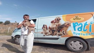 Belediye ekipleri nefes kesen operasyonla yavru köpeği kurtardı