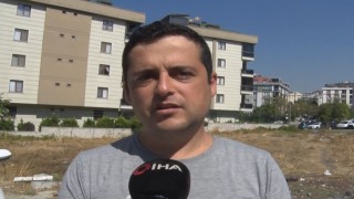 Beylikdüzünde yaşanan köpek dehşetini komşular anlattı