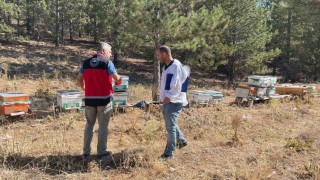 Beyşehirde arılı kovan sayımları yapılıyor