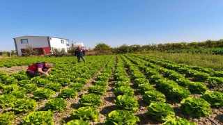 Beyşehirde bitkisel üretim takip altında