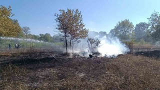 Bilecik Pazaryerinde arazi yangını çıktı