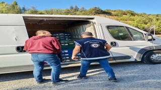 Bilecikte düzensiz göç denetimi