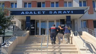 Bilecikte nitelikli dolandırıcılık operasyonu