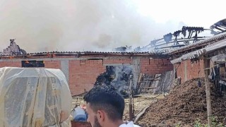 Bilecikte samanlık alanda yangın çıktı