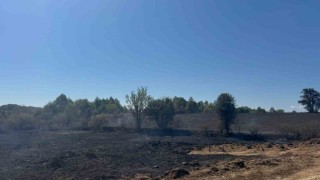 Bilecikte yaşanan anız yangınında 2 hektar alan kül oldu