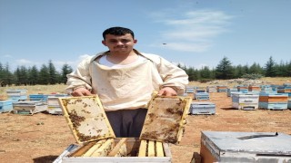 Bilgisayar programcısı genç, sevdiği baba mesleği arıcılığı tercih etti