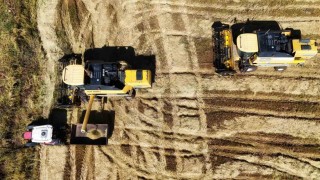 Bin dönümde yaklaşık 6 milyon lira maliyeti bulan tescilli Karacadağ pirincinde hasat zamanı