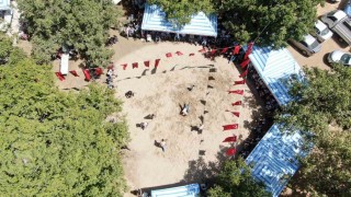 Bin metre rakımda ‘gelenekleri yaşatmak için güreştiler