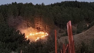 Bingölde çıkan orman yangını kontrol altına alındı