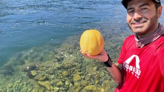 Bingölde doğa tutkunundan su altında meyve keyfi